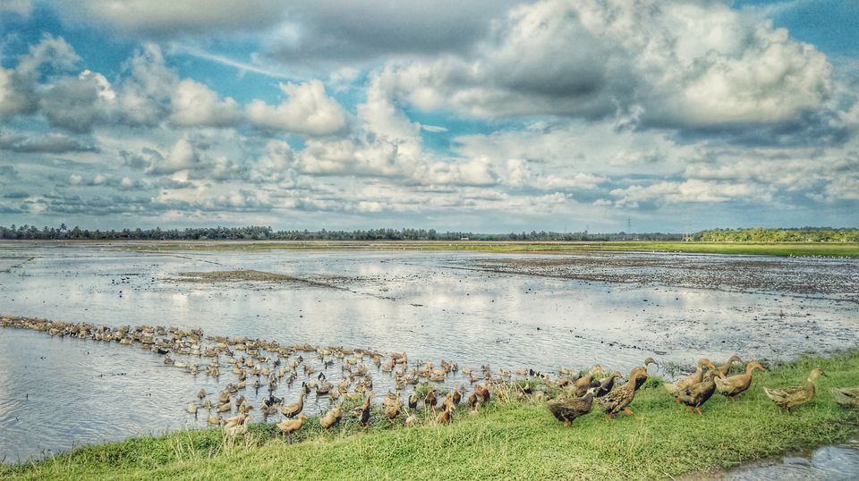 Photo of Lush green landscapes. Awesome clouds. Even more awesome food. What more can you want...;) 15/39 by Jerrin Issac