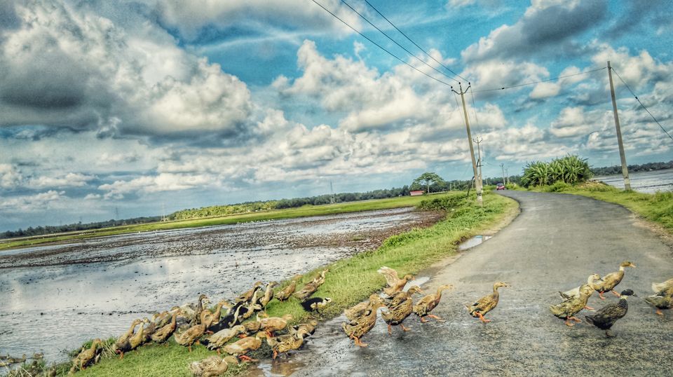 Photo of Lush green landscapes. Awesome clouds. Even more awesome food. What more can you want...;) 16/39 by Jerrin Issac