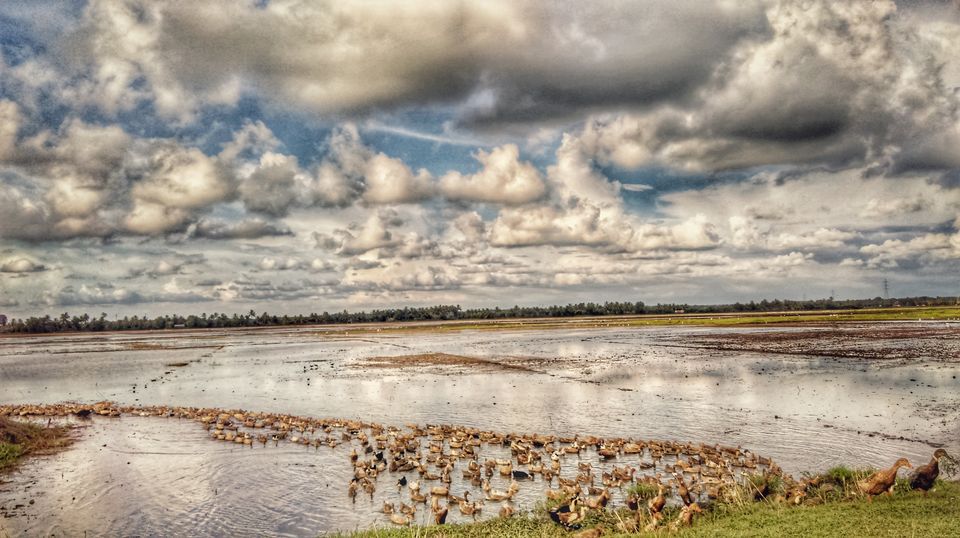Photo of Lush green landscapes. Awesome clouds. Even more awesome food. What more can you want...;) 17/39 by Jerrin Issac