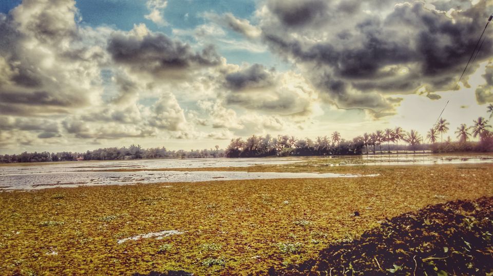 Photo of Lush green landscapes. Awesome clouds. Even more awesome food. What more can you want...;) 20/39 by Jerrin Issac