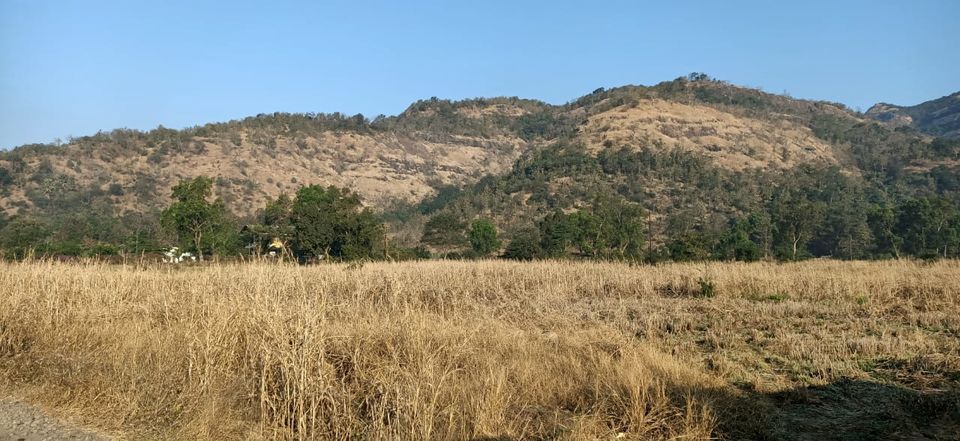Photo of Schöne Den (Schone Den), Karjat :) 2/25 by Makarannd Shukla