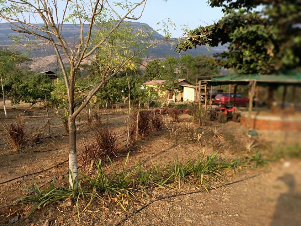 Photo of Schöne Den (Schone Den), Karjat :) 17/25 by Makarannd Shukla