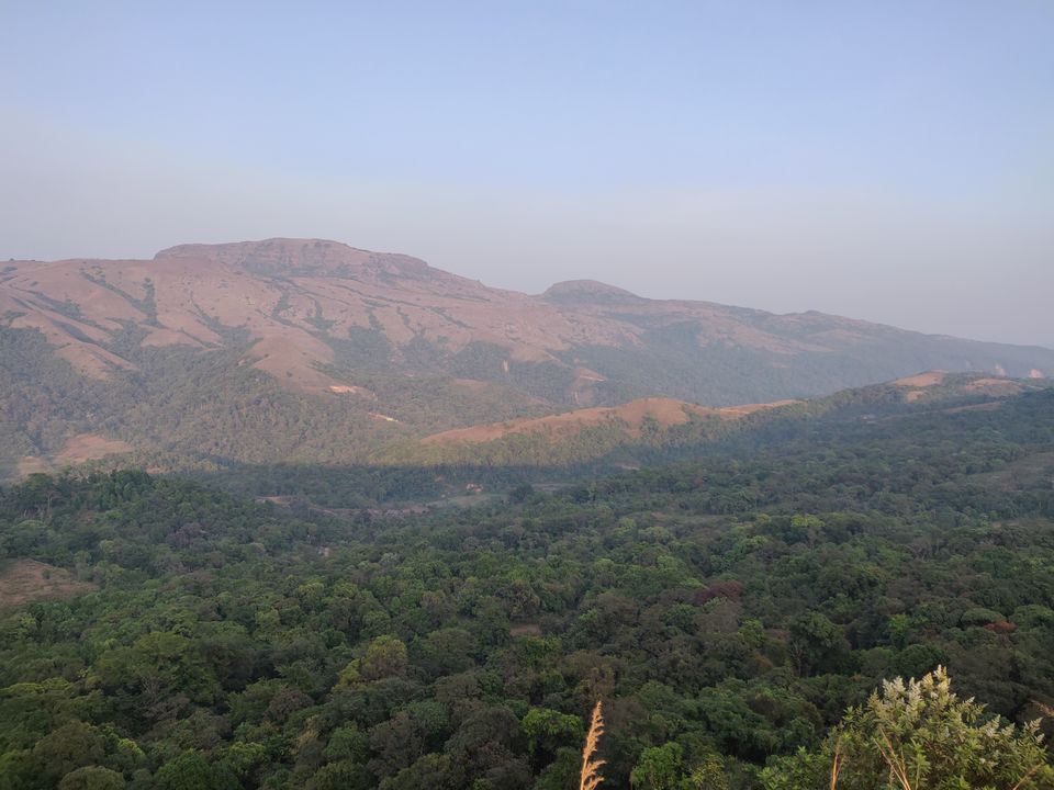 Photo of Coorg, Karnataka, India by Dhruvan