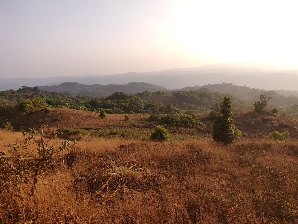 Photo of Coorg, Karnataka, India by Dhruvan