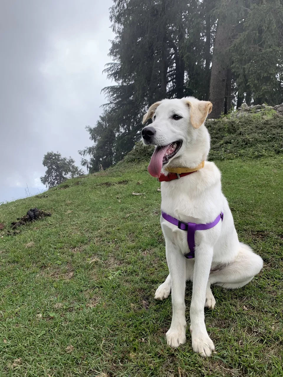 Photo of Moila Top, Bagani, Uttarakhand, India by Sanghamitra Ghosh