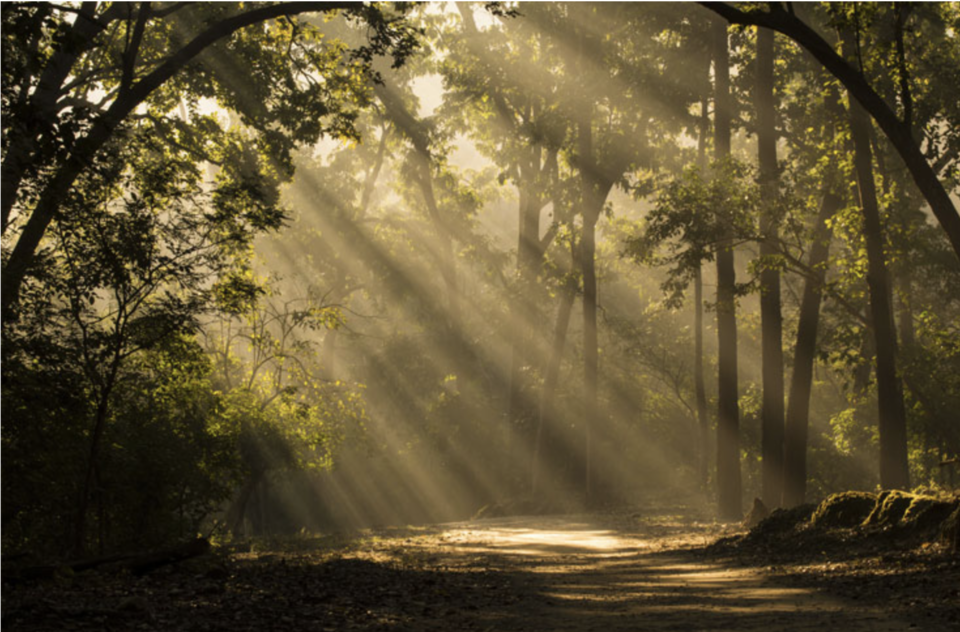 Photo of 6 Places In Uttarakhand That Have Made It To Bollywood! 10/12 by Sanghamitra Ghosh
