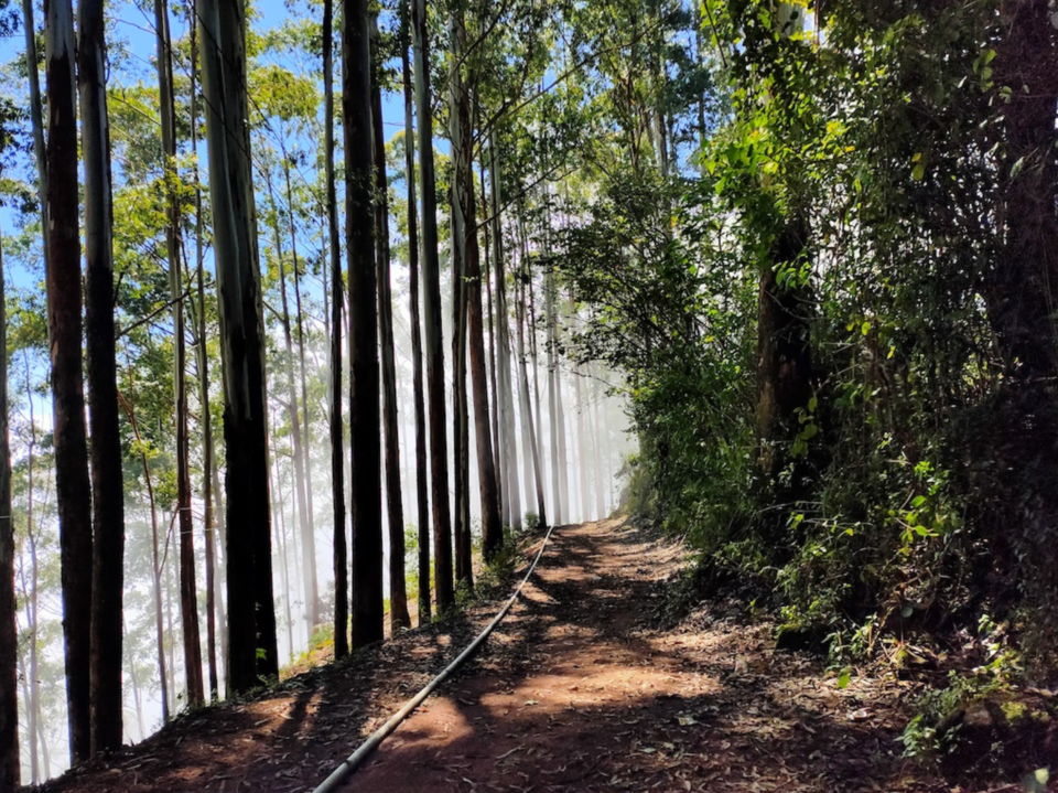 Photo of These Indian Destinations Will Do Wonders For Your Mental Health 2/10 by Sanghamitra Ghosh