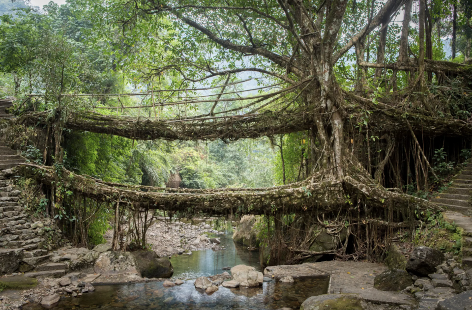 Photo of These Indian Destinations Will Do Wonders For Your Mental Health 10/10 by Sanghamitra Ghosh
