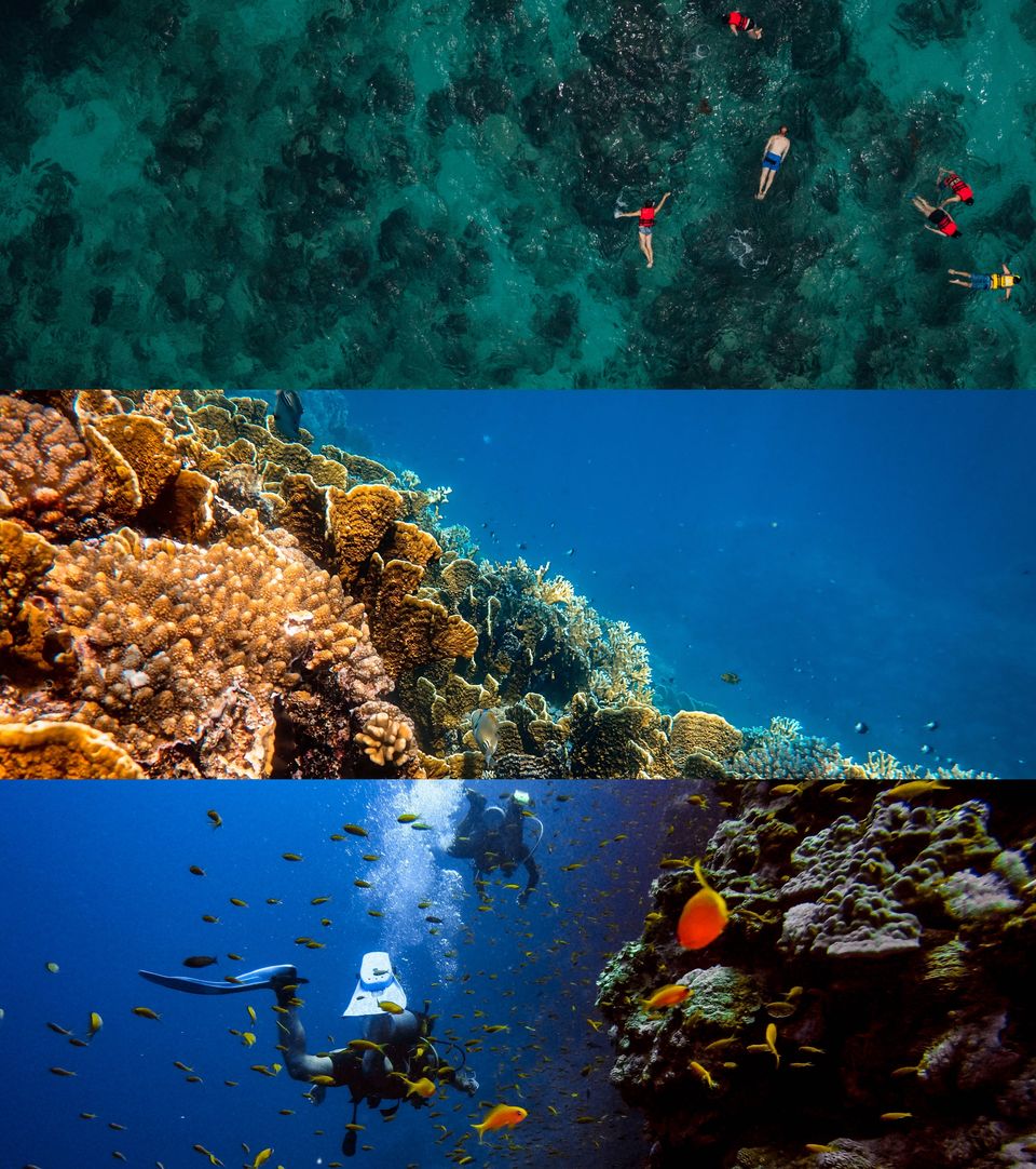 Photo of How to become a certified scuba diver #bucketlist 4/4 by Naman_kumar