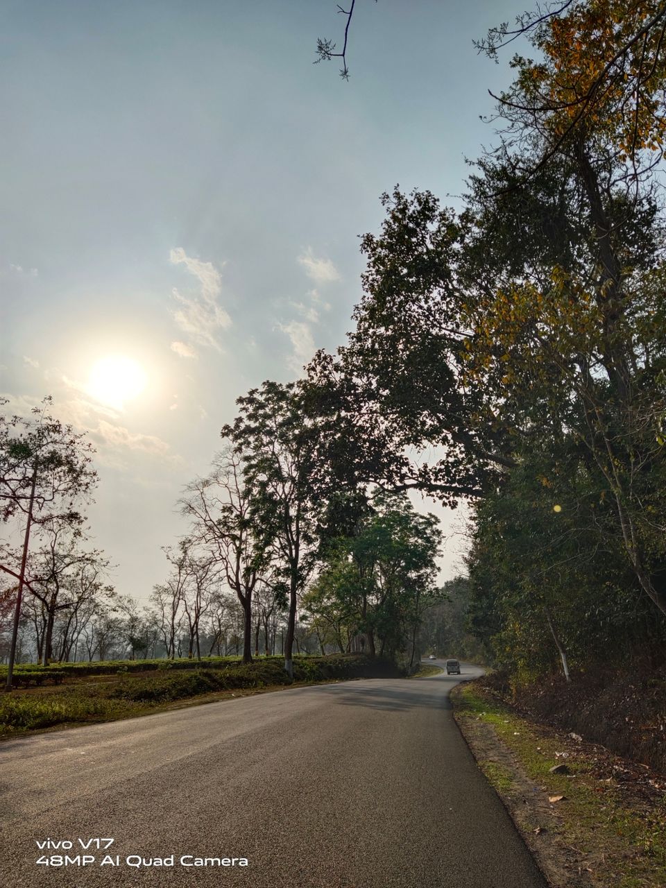 Photo of On road to meet the one horned rhino: At Kaziranga! by Sumadhur Roy