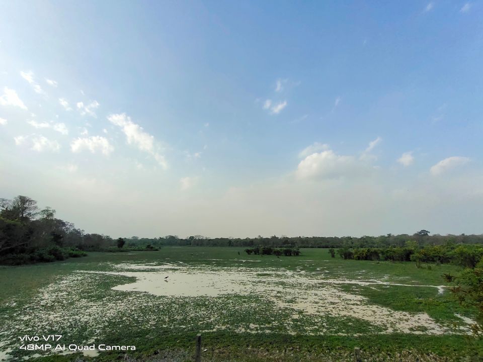 Photo of On road to meet the one horned rhino: At Kaziranga! by Sumadhur Roy