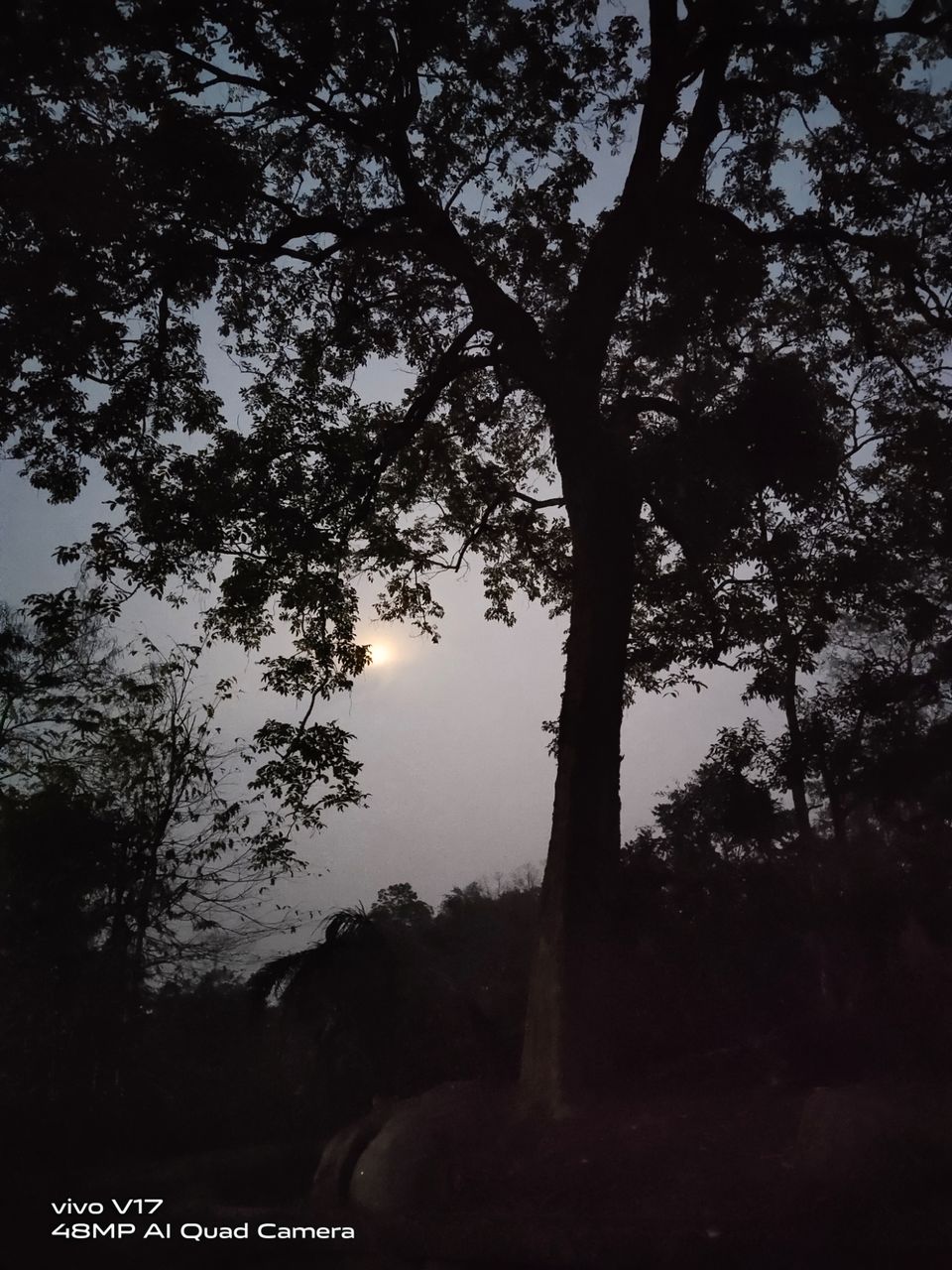 Photo of On road to meet the one horned rhino: At Kaziranga! by Sumadhur Roy