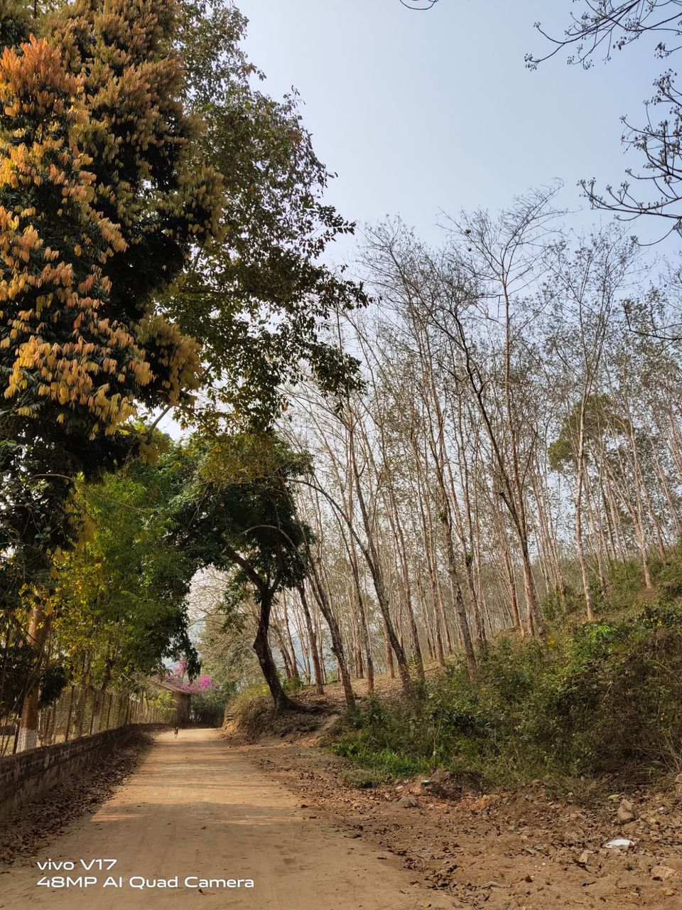 Photo of Kaziranga National Orchid and Biodiversity Park by Sumadhur Roy