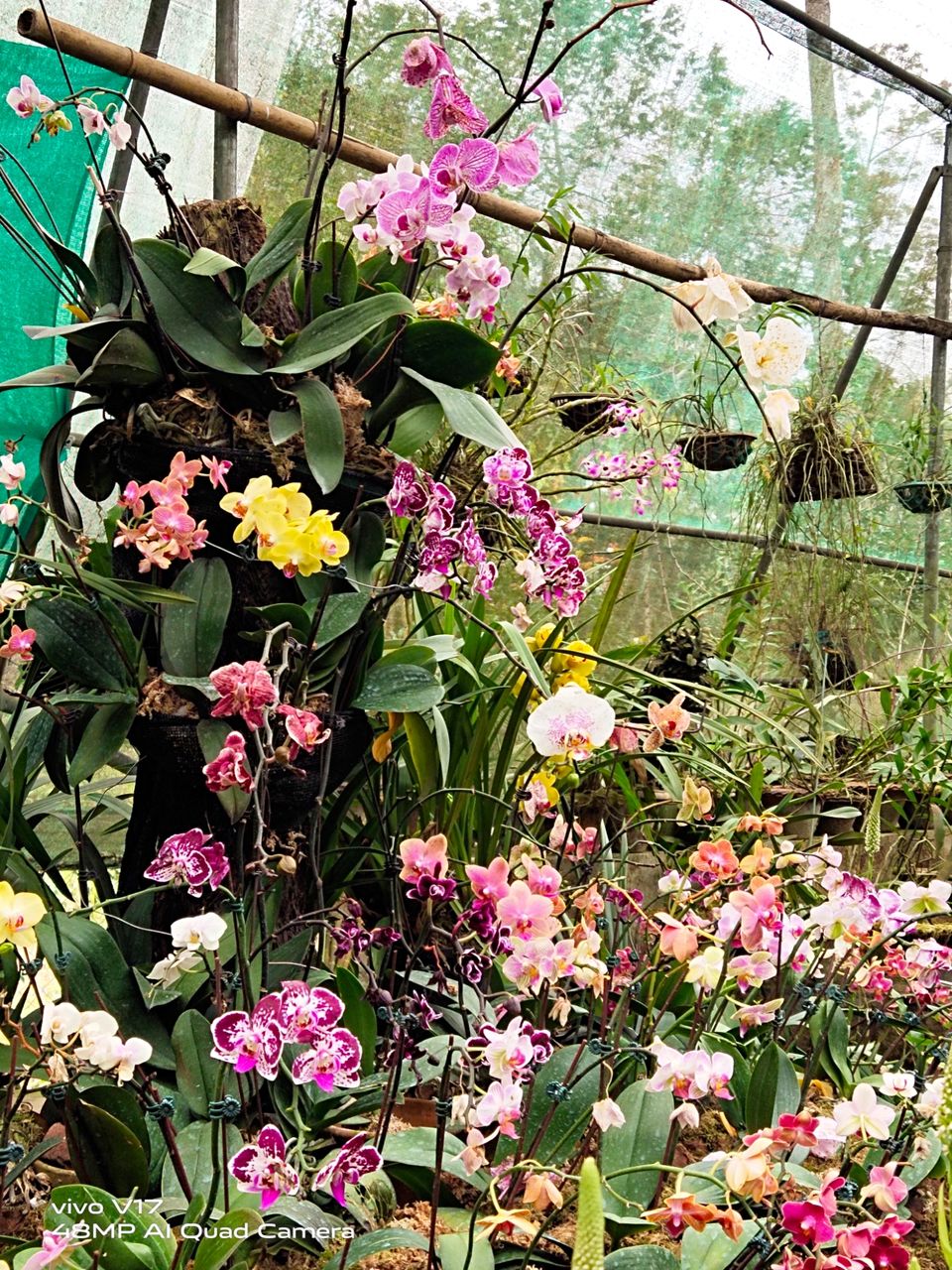 Photo of Kaziranga National Orchid and Biodiversity Park by Sumadhur Roy