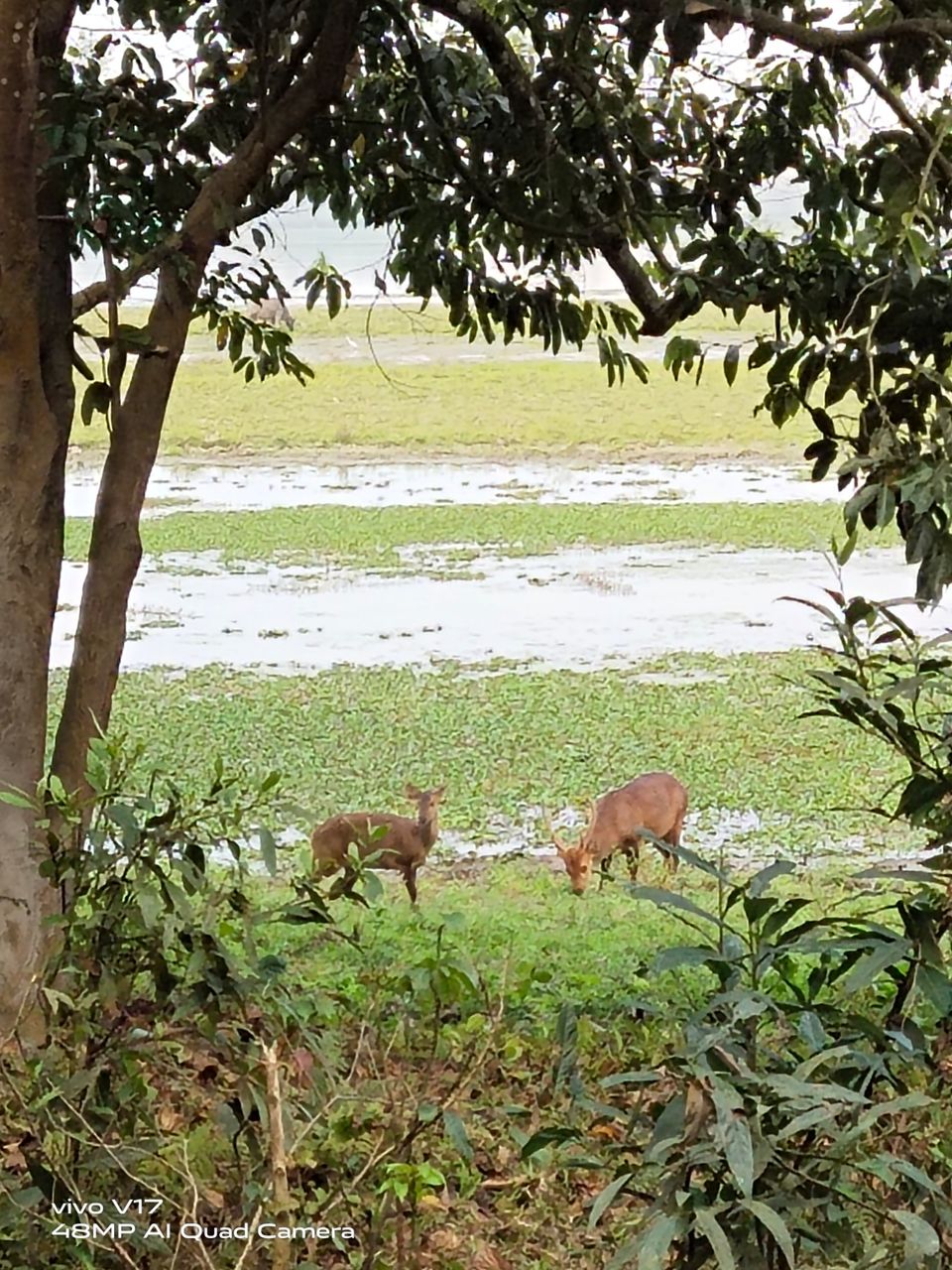 Photo of Kaziranga National Orchid and Biodiversity Park by Sumadhur Roy