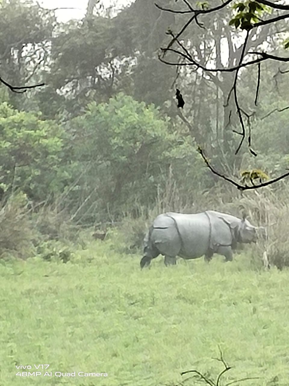 Photo of Kaziranga National Orchid and Biodiversity Park by Sumadhur Roy