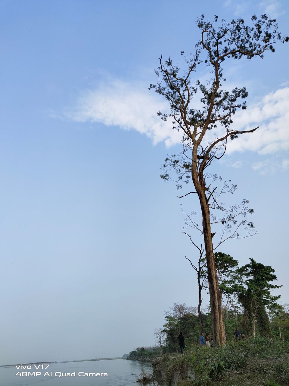 Photo of Kaziranga National Orchid and Biodiversity Park by Sumadhur Roy