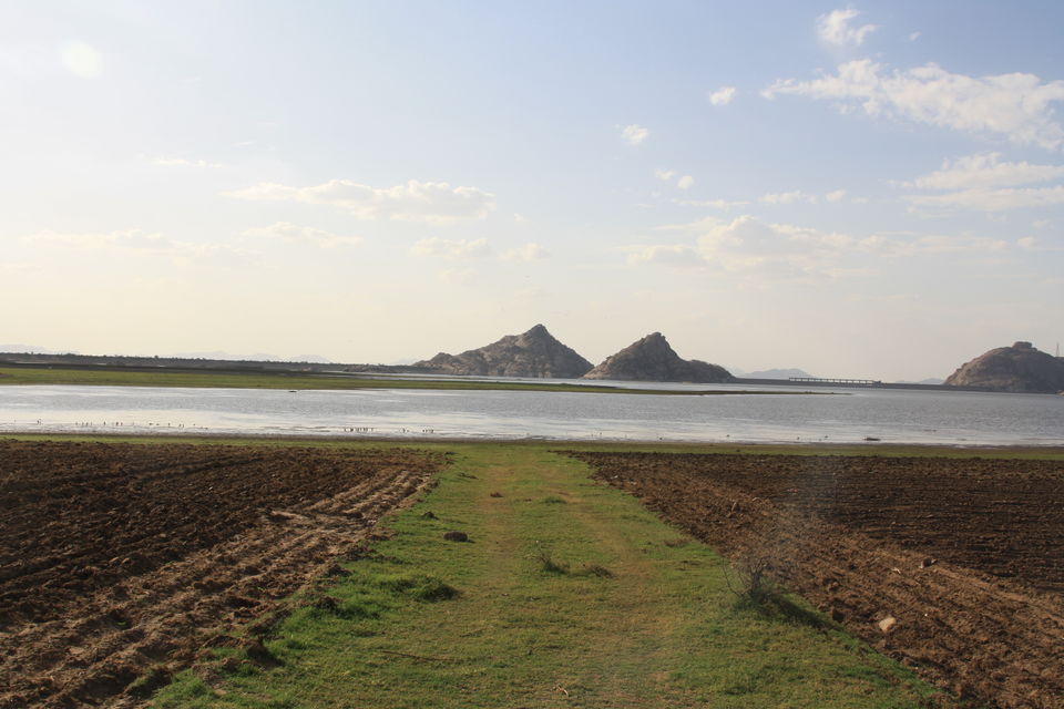 Photo of Leopard hills of Southern Rajasthan 2/12 by Shashank Gangil
