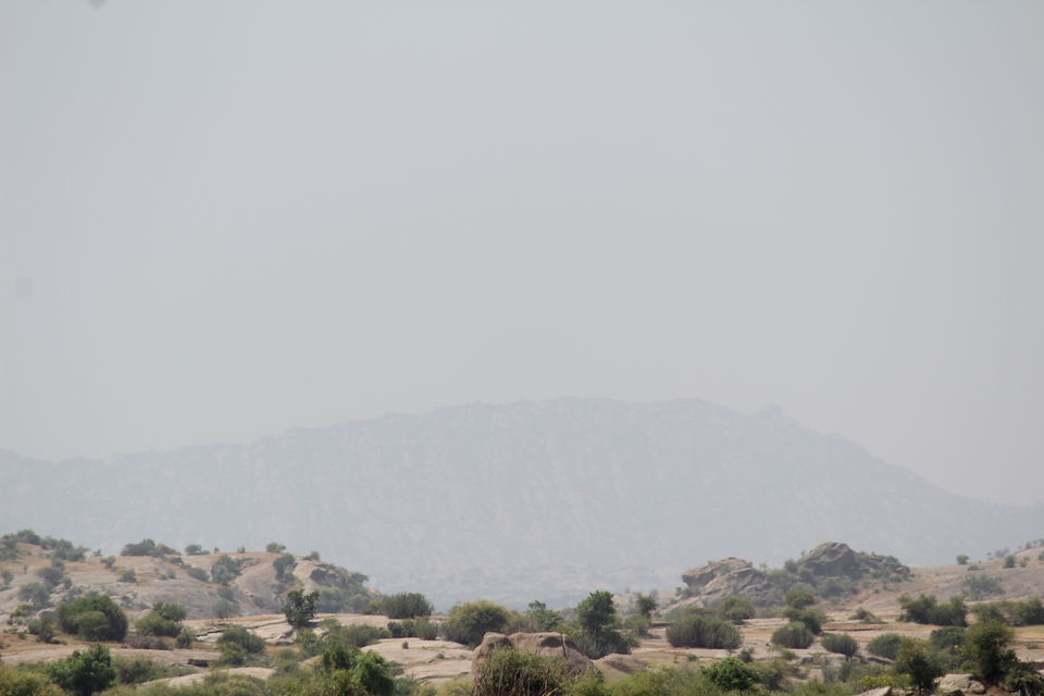 Photo of Leopard hills of Southern Rajasthan 4/12 by Shashank Gangil