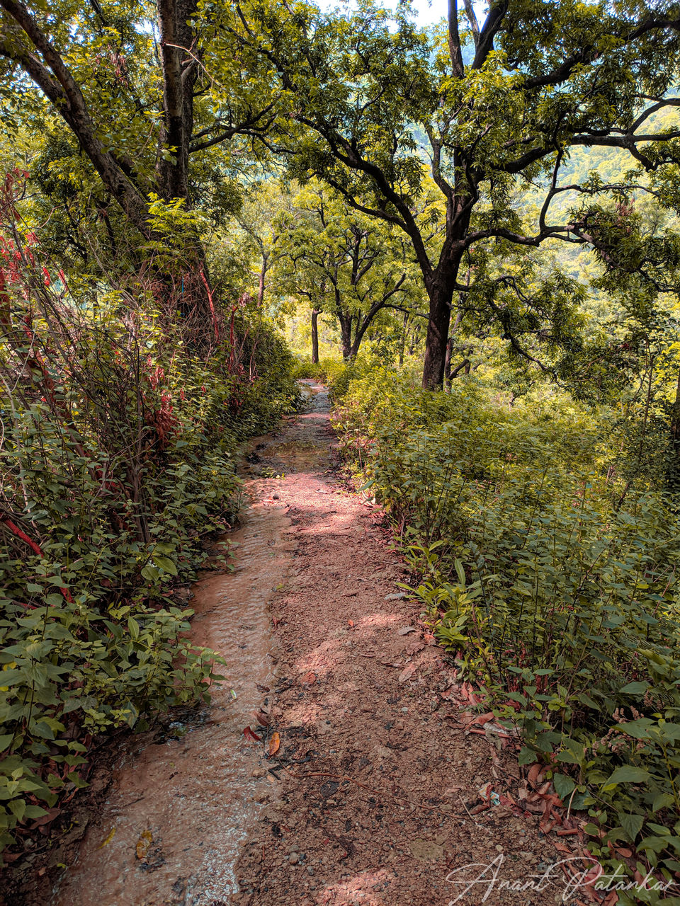 Photo of Backpacking in Rishikesh for FREE! Must visit hidden place! #HiddenGem 3/9 by Anant Patankar