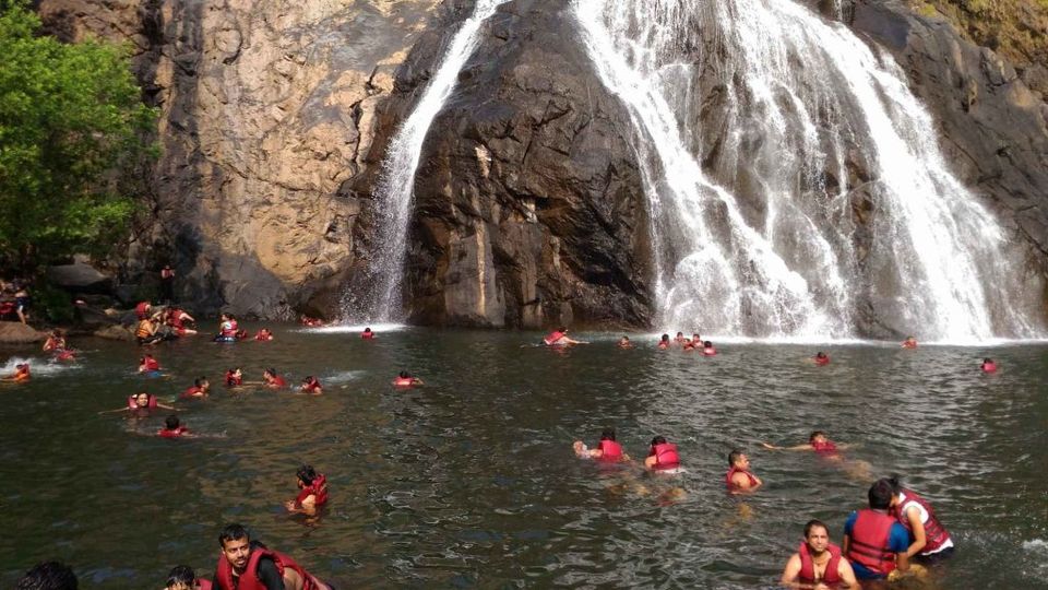 Photo of Dudhsagar Falls, Sonaulim, Goa, India by Viral Paun