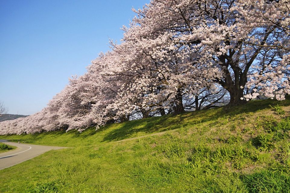 Photo of Yodogawa, Osaka, Japan by Viral Paun