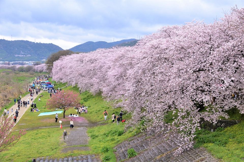 Photo of Yodogawa, Osaka, Japan by Viral Paun