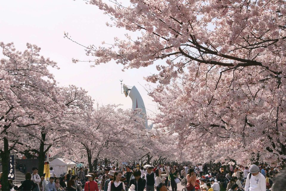 Photo of Expo ’70 Commemorative Park, 1-1 Senribanpakukoen, Suita, Osaka, Japan by Viral Paun