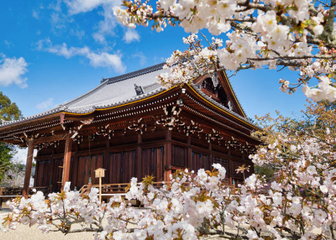 Photo of Ninna-ji Temple Goten, Omuroōuchi, Ukyo Ward, Kyoto, Japan by Viral Paun