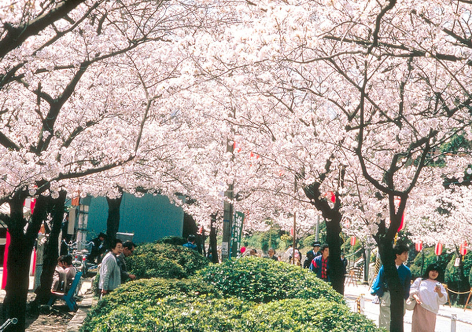 Photo of Satsukiyama Zoo, 2 Chome-5-33 Ayaha, Ikeda, Osaka, Japan by Viral Paun