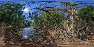 Photo of Nohwet, Meghalaya, India by Viral Paun