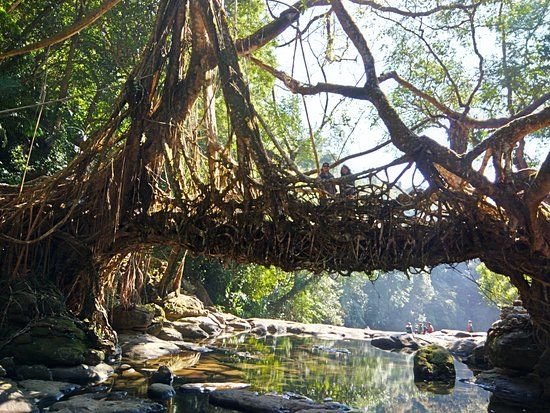 Photo of Nohwet, Meghalaya, India by Viral Paun