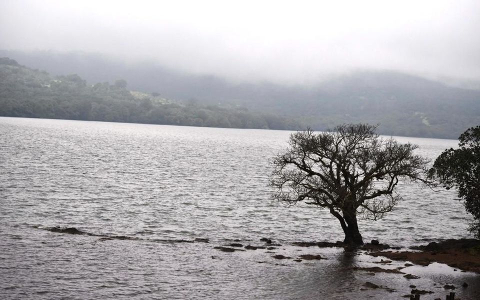 Photo of Kaas Lake, Kas, Maharashtra, India by Viral Paun