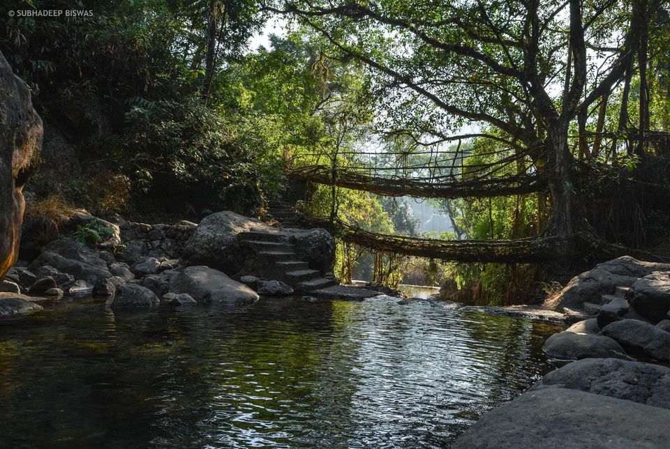Photo of Double Decker Root Bridge, Cherrapunji, Meghalaya, India by Viral Paun