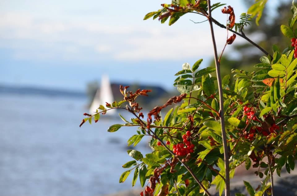 Photo of Stockholm, Sweden by Sonali Saxena