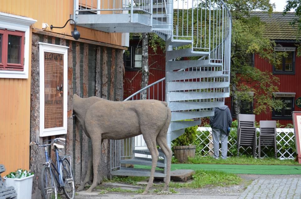 Photo of Lillehammer, Norway by Sonali Saxena