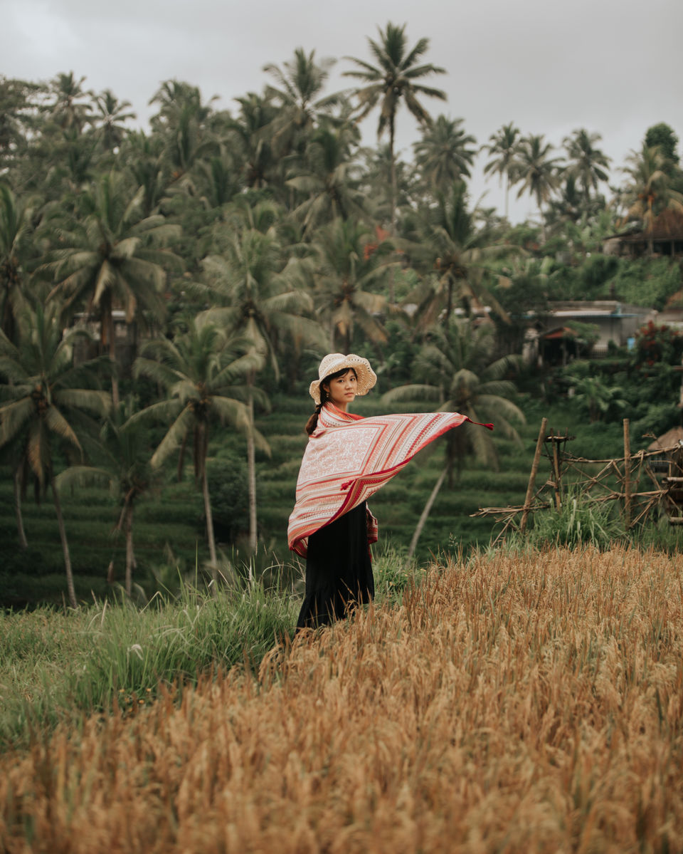 Photo of A Complete Guide to Visit Bali's Tegallalang Rice Terraces from a Photographer's Lens! 2/9 by Thatcameraboy