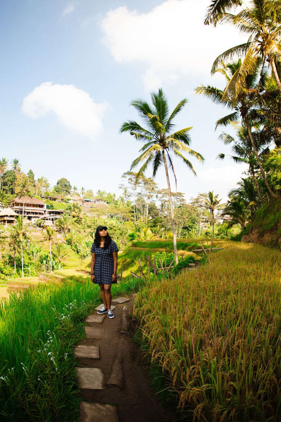 Photo of A Complete Guide to Visit Bali's Tegallalang Rice Terraces from a Photographer's Lens! 8/9 by Thatcameraboy