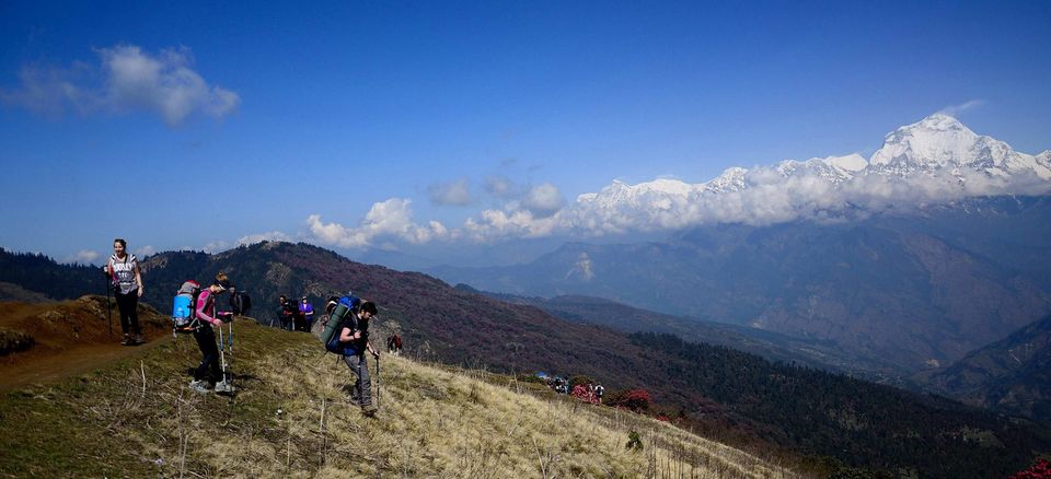 Photo of The famous Poon Hill Trek: Nepal 14/23 by Raj Abhishek