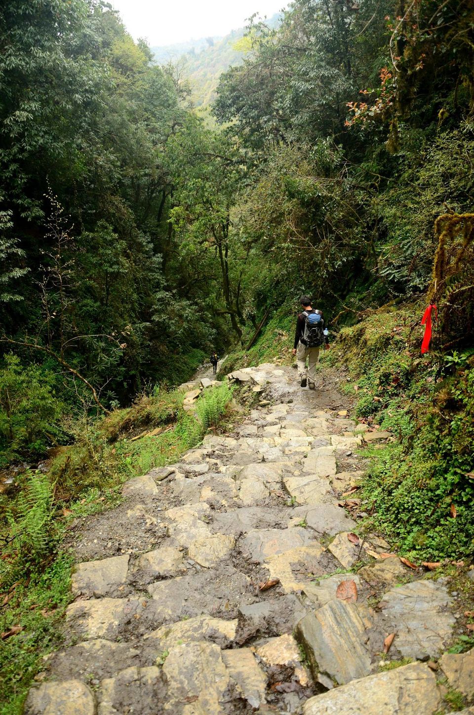 Photo of The famous Poon Hill Trek: Nepal 17/23 by Raj Abhishek