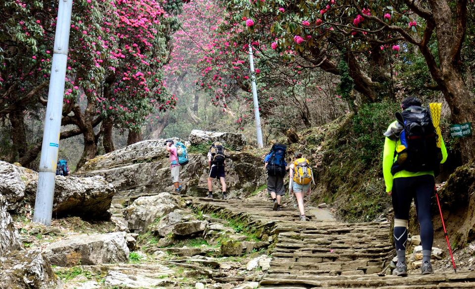 Photo of The famous Poon Hill Trek: Nepal 6/23 by Raj Abhishek