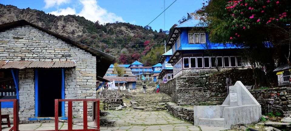 Photo of The famous Poon Hill Trek: Nepal 4/23 by Raj Abhishek