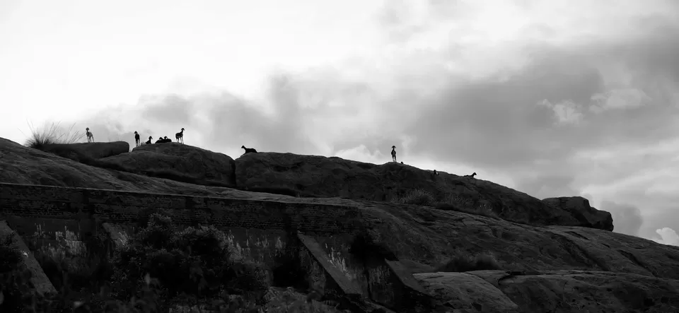 Photo of Rayakottai Fort, Suligunta, Tamil Nadu, India by Raj Abhishek