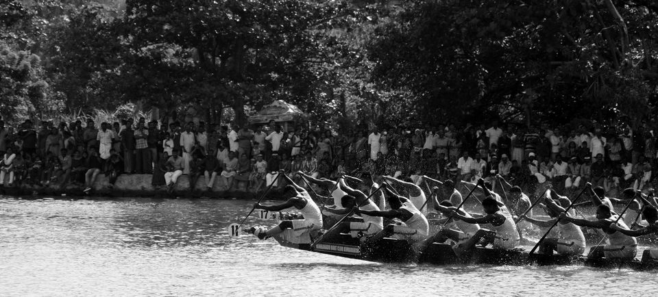Photo of All aboard for a boat race at Alleppey, and a bird sanctuary at Kumarakom ! 1/15 by Raj Abhishek