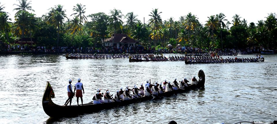 Photo of All aboard for a boat race at Alleppey, and a bird sanctuary at Kumarakom ! 2/15 by Raj Abhishek