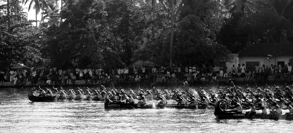 Photo of All aboard for a boat race at Alleppey, and a bird sanctuary at Kumarakom ! 3/15 by Raj Abhishek