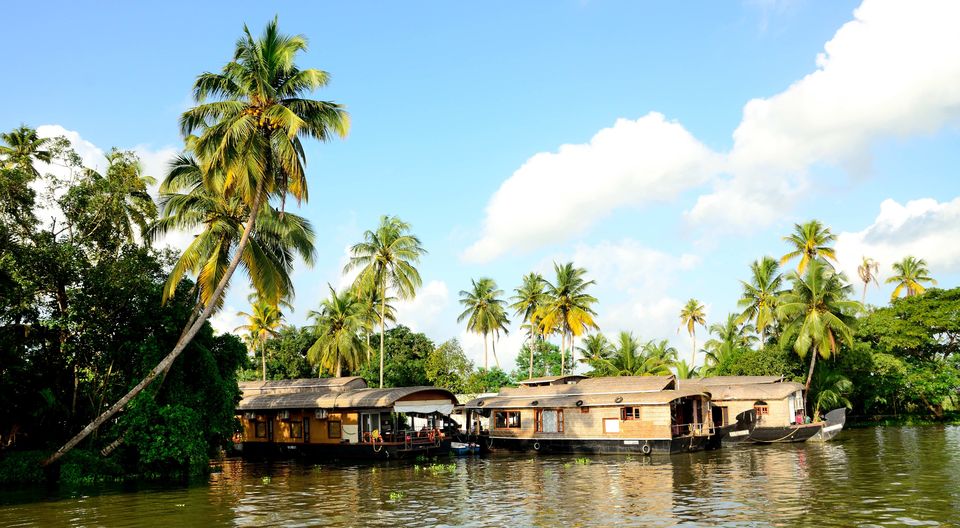 Photo of All aboard for a boat race at Alleppey, and a bird sanctuary at Kumarakom ! 4/15 by Raj Abhishek