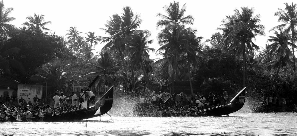 Photo of All aboard for a boat race at Alleppey, and a bird sanctuary at Kumarakom ! 5/15 by Raj Abhishek