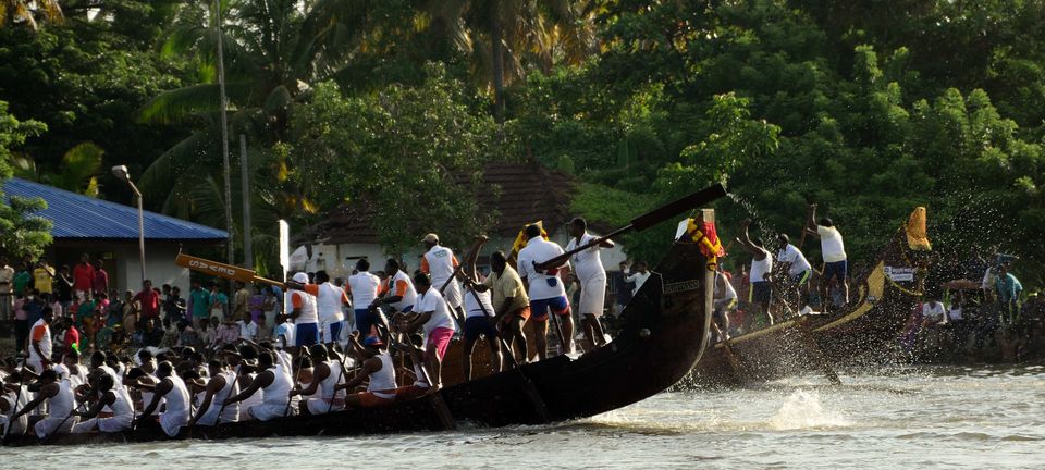 Photo of All aboard for a boat race at Alleppey, and a bird sanctuary at Kumarakom ! 6/15 by Raj Abhishek