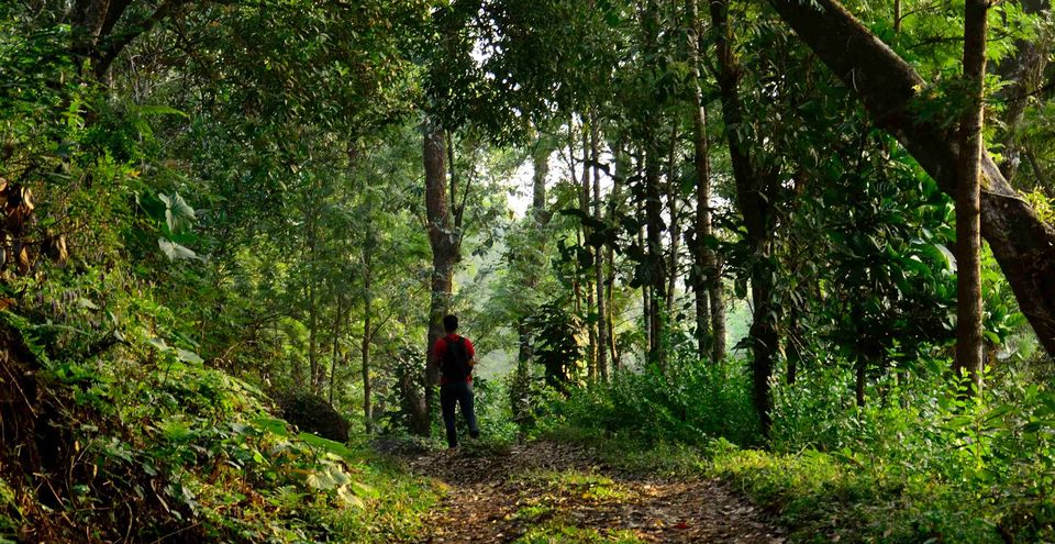 Photo of A trek up the highest peak in Coorg: Tadiandamol! 2/19 by Raj Abhishek